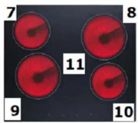 PKM BIC3 IGKIX2 H - Elektrischer Anschluss - Kochfeld - 4
