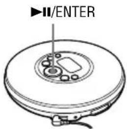 SONY DNE319 - Prima  I/ENTER. - 1