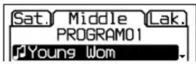 SONY DNE319 - Reproduccion de pistas en elorden deseado (reproduccion PGM) - 1