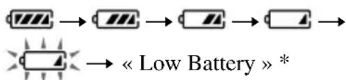 SONY DNE319 - Vérification de la puissance restante de la batterie - 1