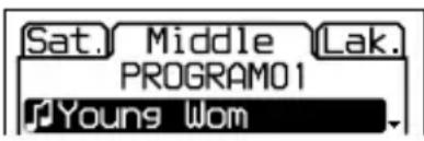 SONY DNE319 - Lecture de morceaux dans l'ordre de votre choix (lecture programmée) - 1