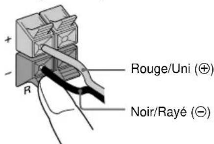 SONY LBTXG80 - Raccordez les haut-parleurs. - 1