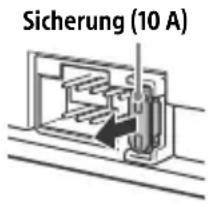 Sicherung (10 A)