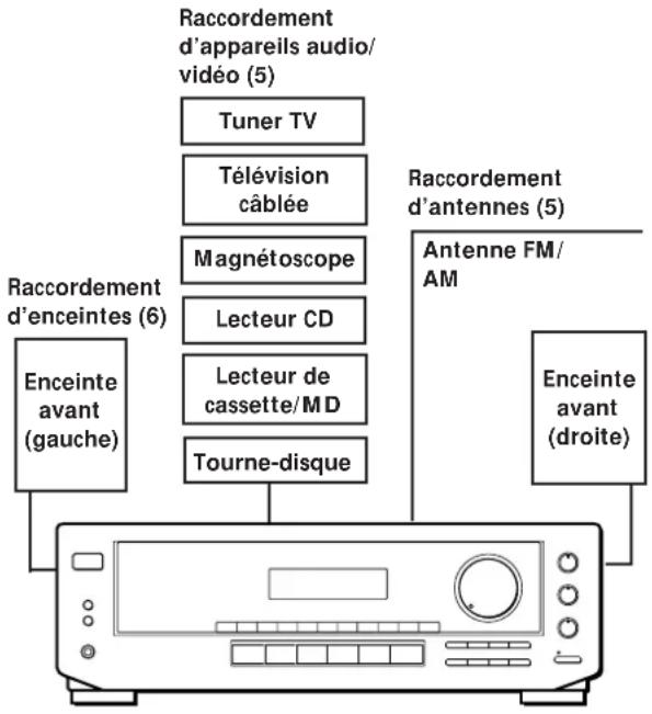 SONY STRDE305 - Description des raccordements - 1