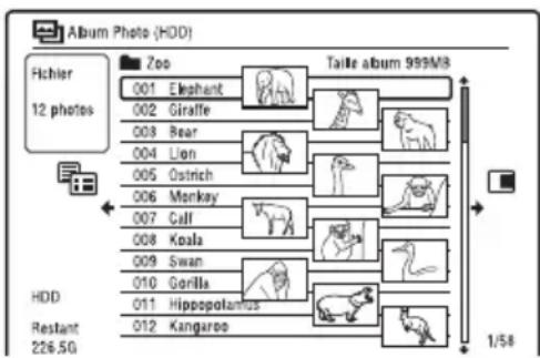Album Photo (HDD) Hochler 12 photos Zoo 001 Elephant 002 Giraffe 003 Bear 004 Lion 005 Ostrich 006 Monkey 007 Calf 008 Koala 009 Swan 010 Gorilla 011 Hippopotamus 012 Kangaroo Taille album 999M3 HDD Restant 226.5G 1/54