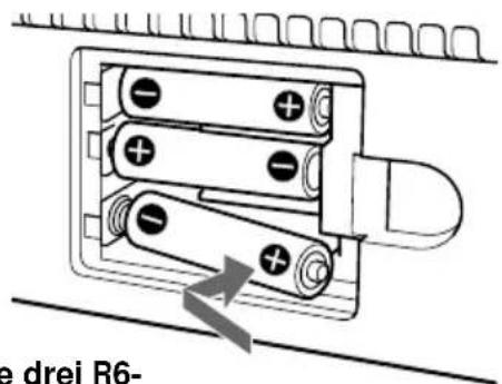 SONY ZSM35 - Einlegen von Speicherbatterien - 1