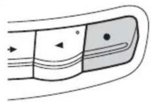 SONY CFDE95L - Display - 4