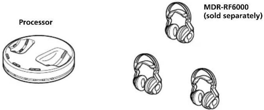 SONY MDRDS6000 - Using Additional Headphones - 1