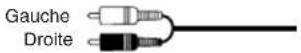 PANASONIC SAHR50EG - Cable de raccordement stereo - 1