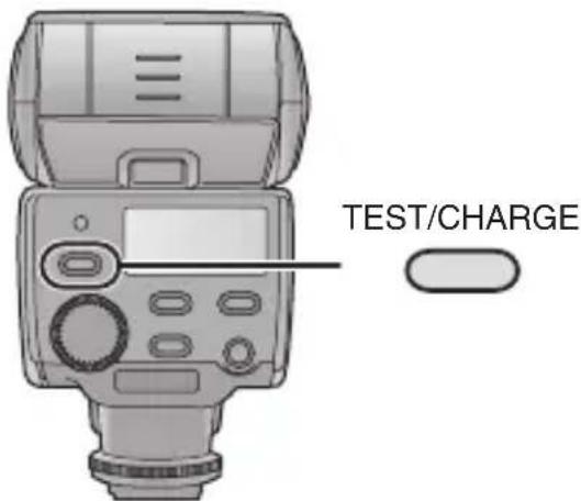 PANASONIC Lumix DMWFL360E - Check that the [TEST/CHARGE] button lights. - 1