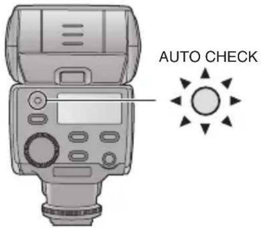 PANASONIC Lumix DMWFL360E - Compruebe que la lámpara [AUTO CHECK] esté destellando. - 1