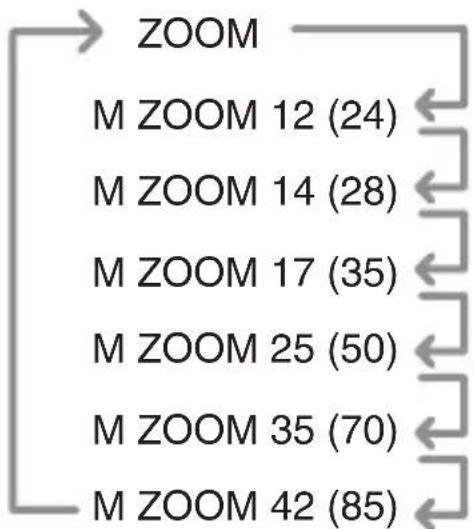 PANASONIC Lumix DMWFL360E - Any of the following ZOOM settings can be selected: - 1