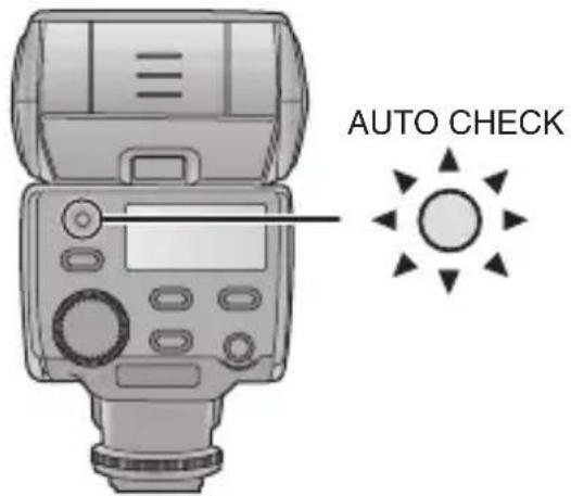 PANASONIC Lumix DMWFL360E - Check that the [AUTO CHECK] lamp is flashing. - 1