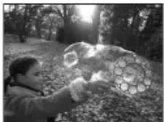 PANASONIC Lumix DMWFL360E - The following kinds of photos can be taken using high shutter speeds. - 1
