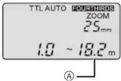 PANASONIC Lumix DMWFL360E - [TTL AUTO] - 1