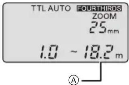 PANASONIC Lumix DMWFL360E - [TTL AUTO] - 1