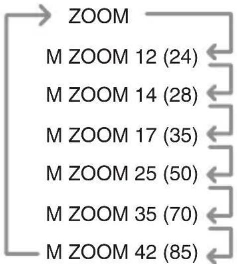 PANASONIC Lumix DMWFL360E - Tous les réglages ZOOM suivants peuvent être sélectionnés: - 1