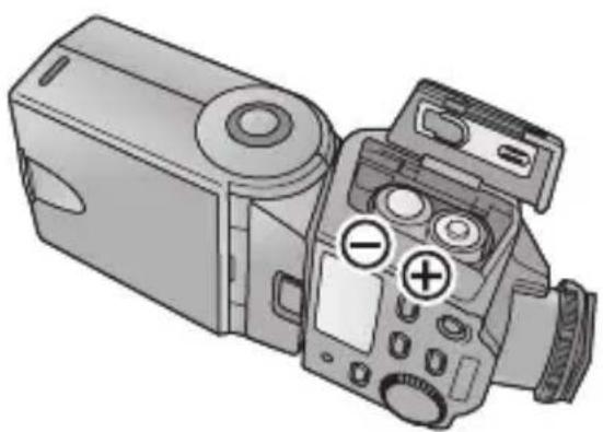 PANASONIC Lumix DMWFL360E - When inserting the batteries, ensure that the ⊕ and ⊖ poles of the batteries are aligned correctly. - 1