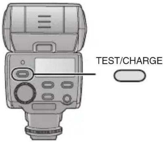 PANASONIC Lumix DMWFL360E - Prüfen Sie, ob die [TEST/CHARGE]-Taste aufleuchtet. - 1
