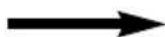 PANASONIC NNCT857W - Cooking by Convection: - 5