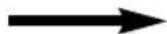 PANASONIC NNCT857W - Gotowanie Konwekcyjne: - 5