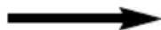 PANASONIC NNCT857W - Ustawianie programu - 3