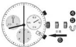 Candino C4579 - Notare - 5