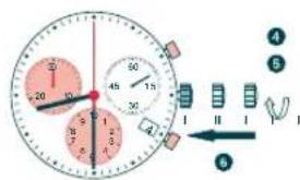 Candino C4431 - Ejempio - 2