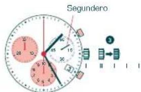 Candino C4431 - Ejempio - 1