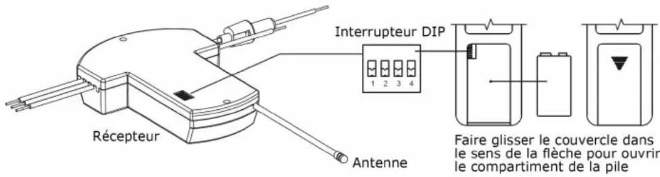 Récepteur Antenne Interrupteur DIP 1 2 3 4 Faire glisser le couvercle dans le sens de la flèche pour ouvrir le compartiment de la pile