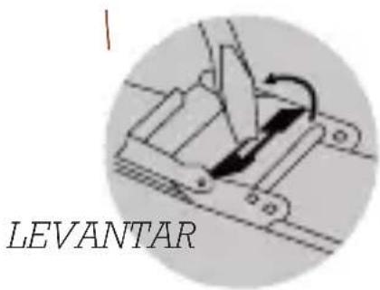 Olivia Burton Celestial OB16GD04 - AJUSTE DE LA HEBILLA - 1