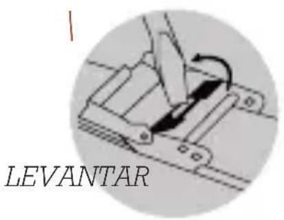 Olivia Burton Pretty Blossom OB16EG125 - AJUSTEDABRACELETE - 1