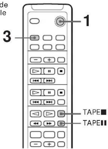SONY TCTX313 - Enregistrement manuel - 2