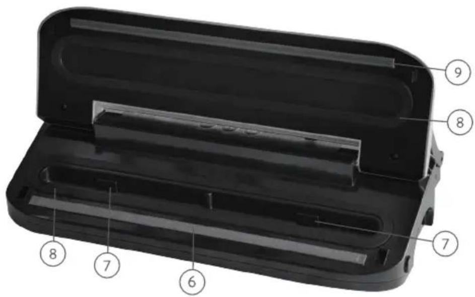 Springlane Vince - IT - 3