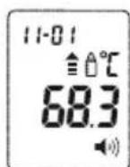SANITAS SFT 77 - Medico da temperatura de objetos - 1