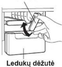 Leduký déžuté