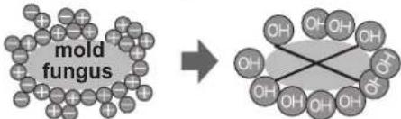 SHARP SJSC680VBE - Notes about Plasmacluster operation - 1