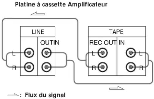 SONY TCWR661 - Raccordements - 1