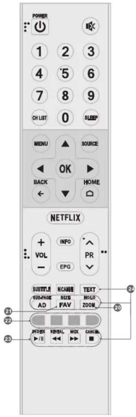 TESLA 55S901SUS - Remote Control (RC A) - 2