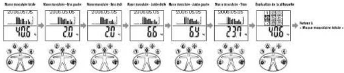 TANITA InnerScan BC568 - Masse musculaire - 1