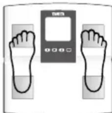 TANITA BC541N - SO ERHALTEN SIE GENAUE MESSWERTE - 1