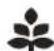 SHARP SJXE680MSL - Nota - 1