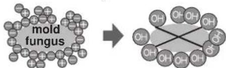SHARP SJSC700VSL - Notes about Plasmacluster operation - 1