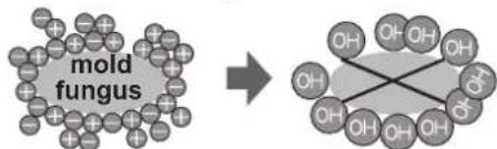 SHARP SJSC680VWH - Notes about Plasmacluster operation - 1