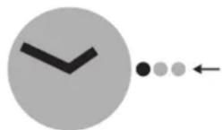 SWATCH Skinsnow SVUW101 - 3
