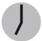 SWATCH Skinsnow SVUW101 - TOUCH ALARM - 2