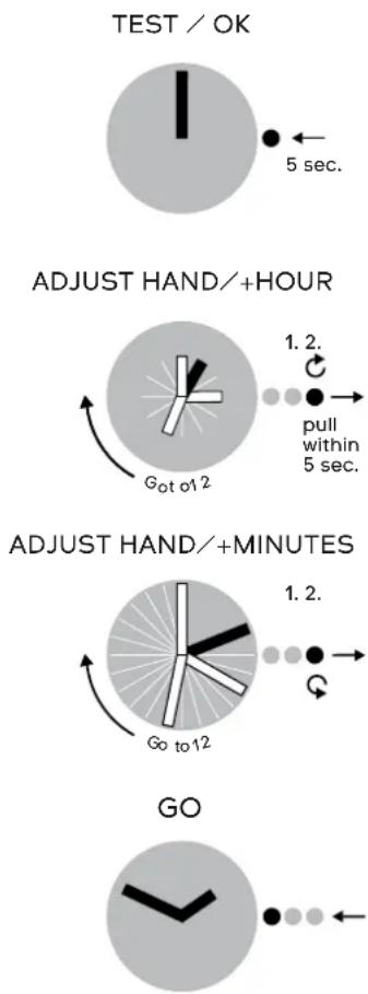 SWATCH Skinsnow SVUW101 - TOUCH / FUN - 1