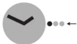 SWATCH White Bishop GW164 - 3