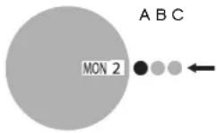 SWATCH Astilbe GP140 - STANDARD - 2