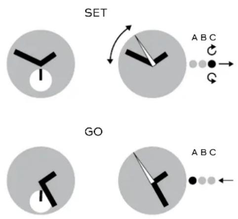 SWATCH Astilbe GP140 - 1